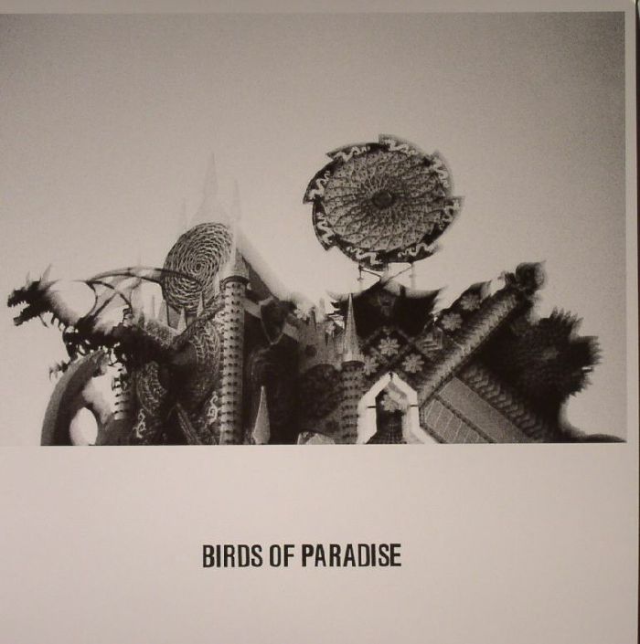 BIRDS OF PARADISE - Love Is Confusion