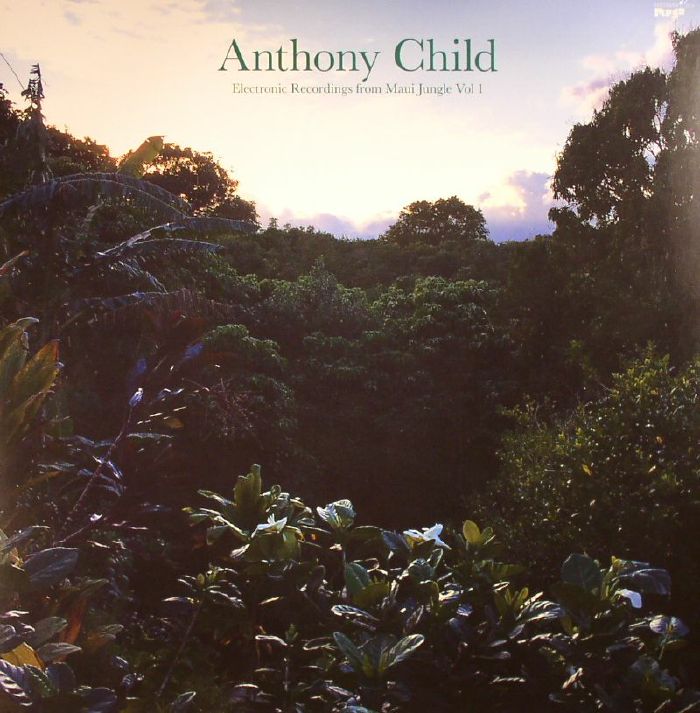 CHILD, Anthony - Electronic Recordings From Maui Jungle Vol 1