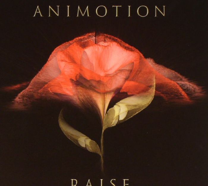 ANIMOTION - Raise Your Expectations