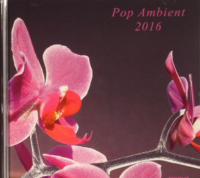 VARIOUS - Pop Ambient 2016