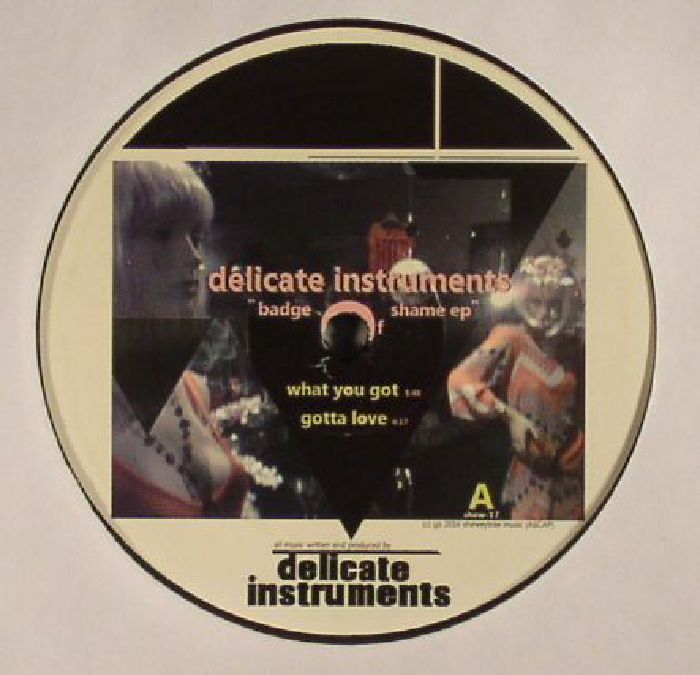 DELICATE INSTRUMENTS - Badge Of Shame EP