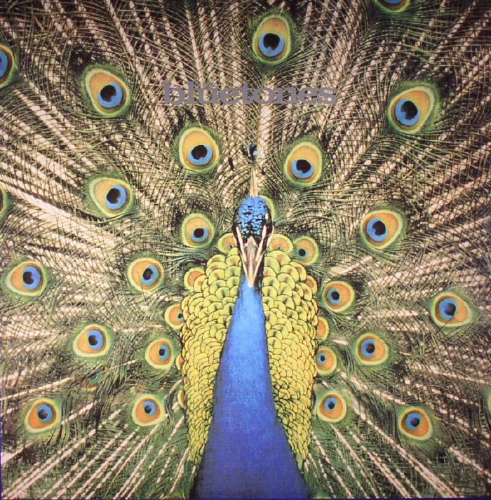 BLUETONES, The - Expecting To Fly