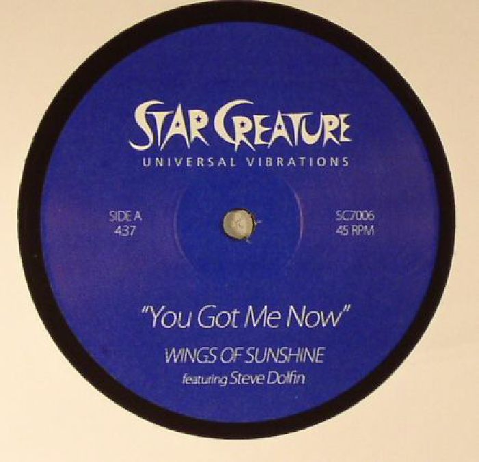 WINGS OF SUNSHINE feat STEVE DOLFIN - You Got Me Now