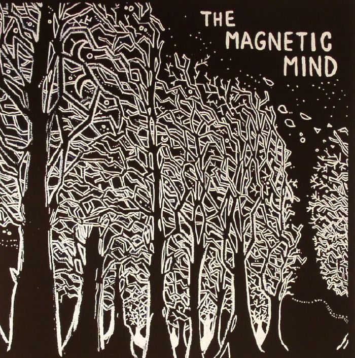 MAGNETIC MIND, The - Couldn't Understand