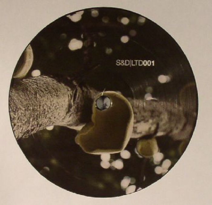 DUBSONS - Eclipsing EP