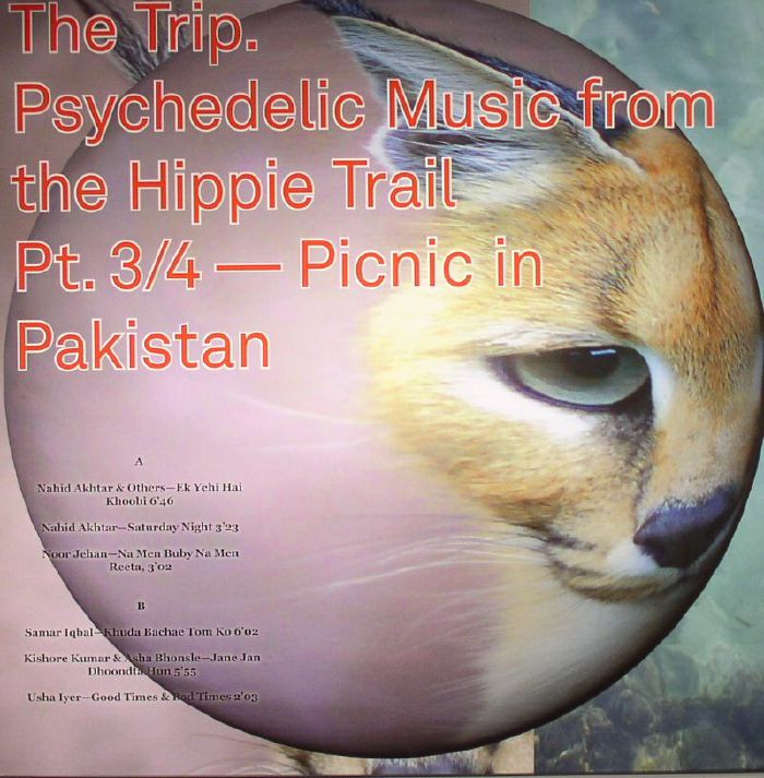 VARIOUS - The Trip: Psychedelic Music From The Hippie Trail Part 3/4: Picnic In Pakistan