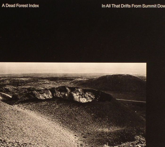 A DEAD FOREST INDEX - In All That Drifts From Summit Down