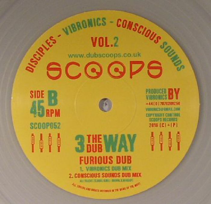 DISCIPLES/VIBRONICS/CONSCIOUS SOUNDS - Furious Dub Vol 2