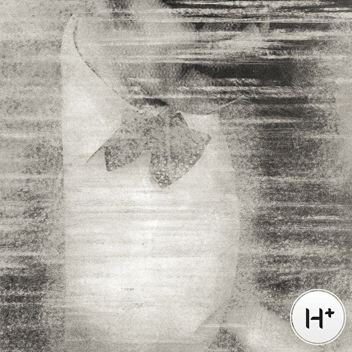 HAMID - HPLS 001