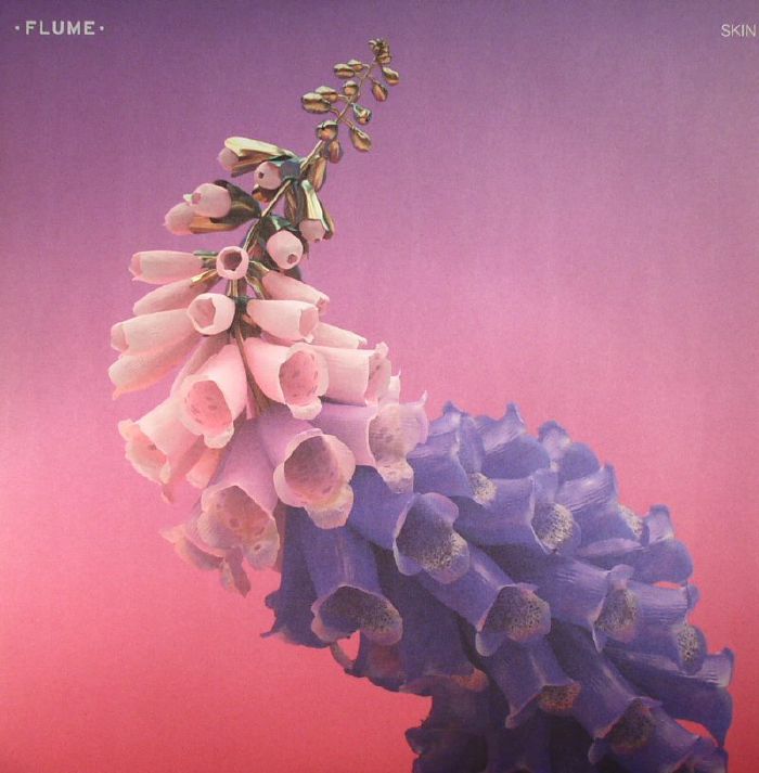 flume album art