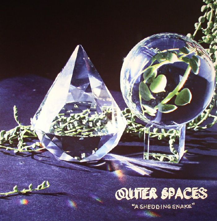 OUTER SPACES - A Shedding Snake