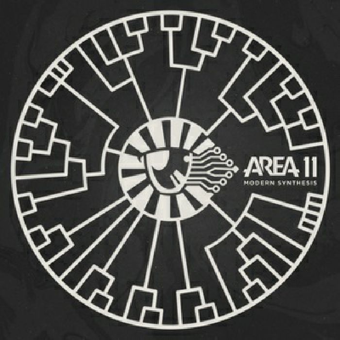AREA 11 - Modern Synthesis