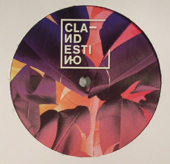 CLANDESTINO/A VISION OF PANORAMA/BIRD OF PARADISE/COYOTE - CLAN 001