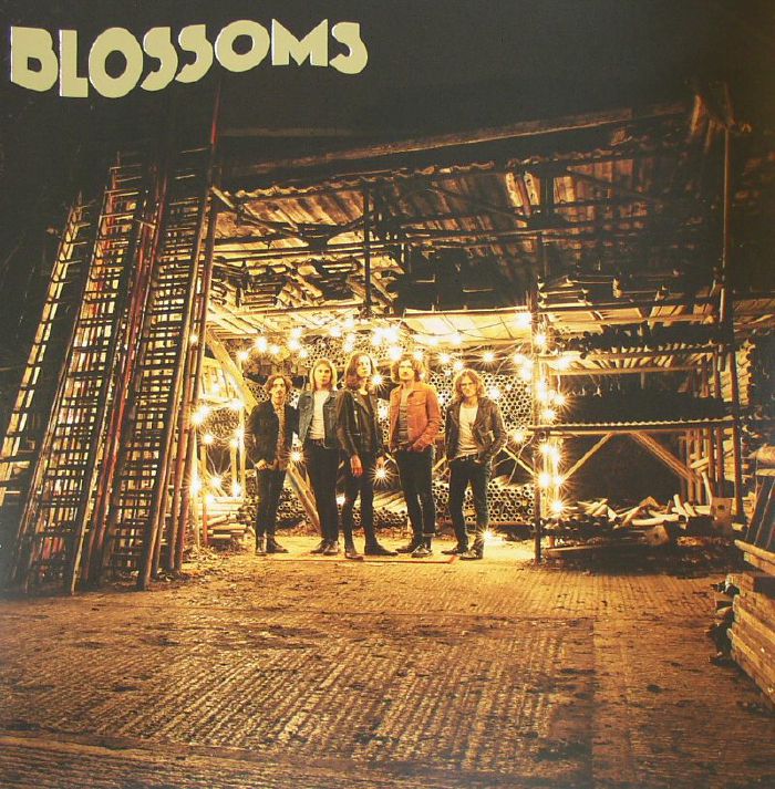 BLOSSOMS - Blossoms