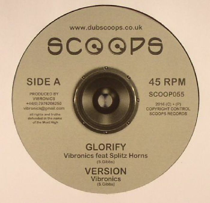 VIBRONICS feat SPLITZ HORNS - Glorify