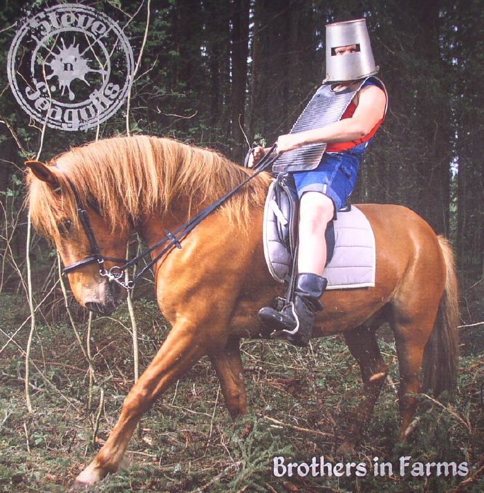 STEVE N SEAGULLS - Brothers In Farms