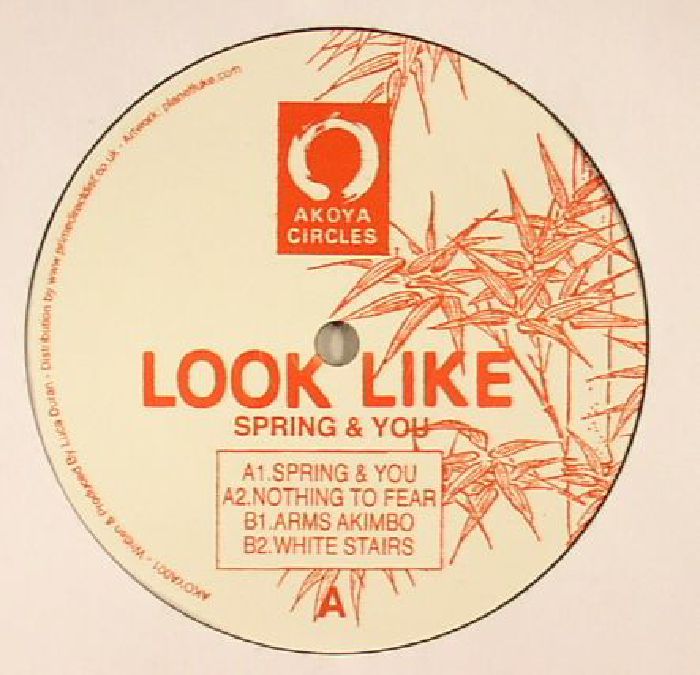 LOOK LIKE - Spring & You