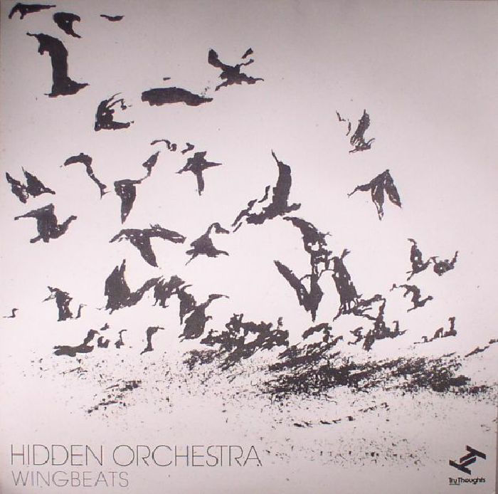 HIDDEN ORCHESTRA - Wingbeats