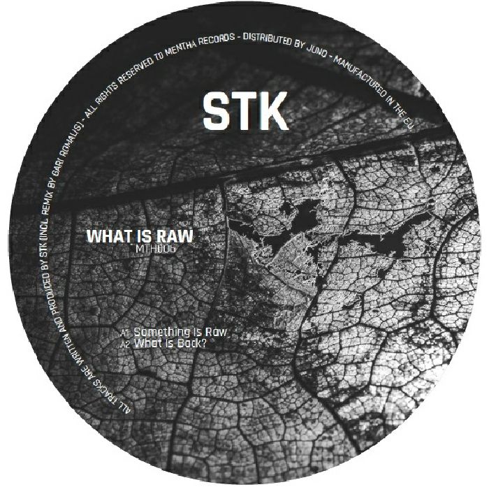 STK - What Is Raw (feat Gari Romalis mix)