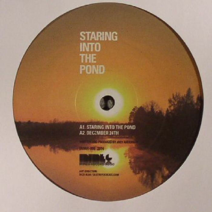 ANDERSON, Joey - Staring Into The Pond