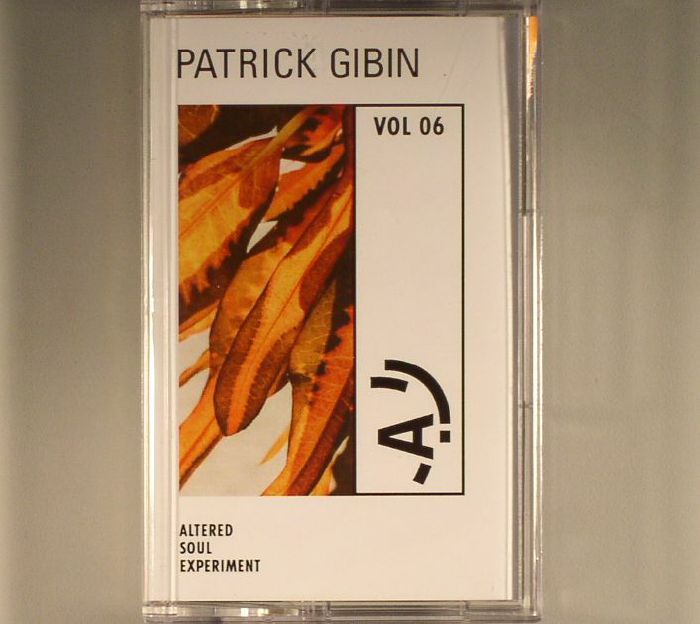 GIBIN, Patrick aka TWICE/VARIOUS - Altered Soul Experiment 06