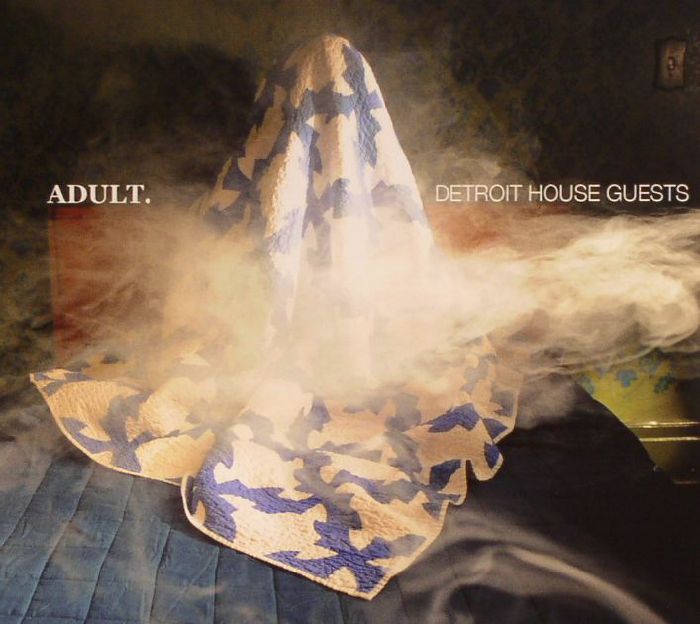 ADULT - Detroit House Guests