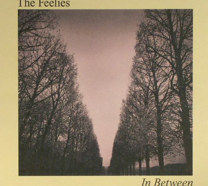 FEELIES, The - In Between