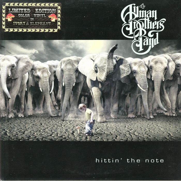 ALLMAN BROTHERS BAND, The - Hittin' The Note