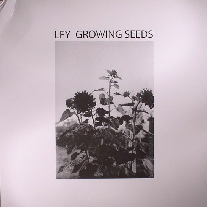 LUST FOR YOUTH - Growing Seeds