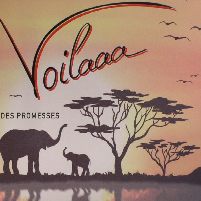 VOILAAA - Des Promesses