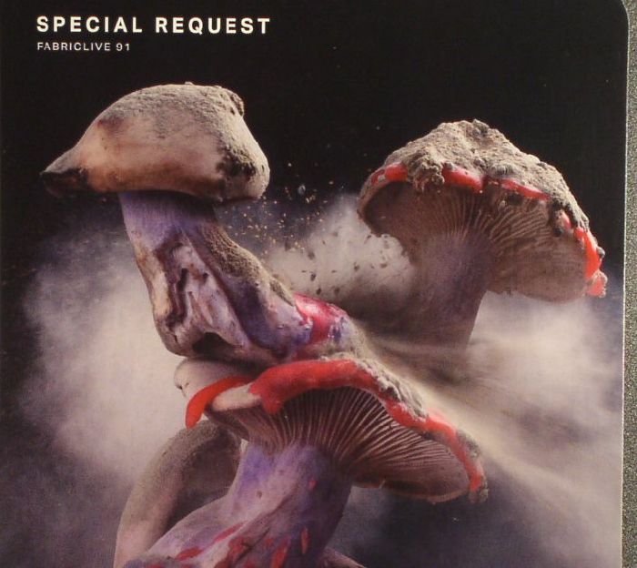SPECIAL REQUEST/VARIOUS - Fabriclive 91