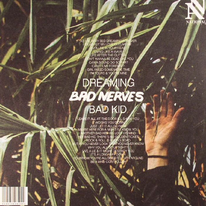 BAD NERVES - Dreaming