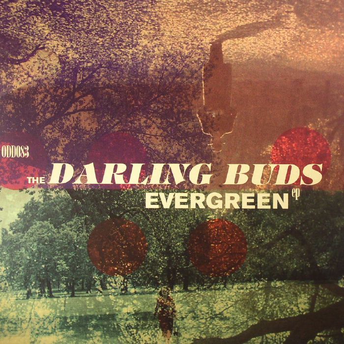 DARLING BUDS, The - Evergreen EP