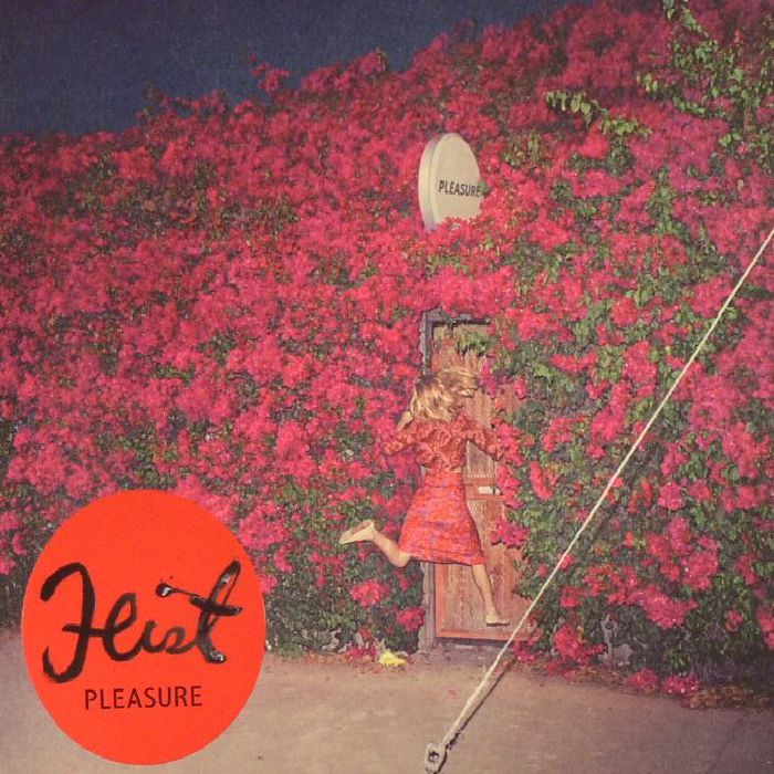 FEIST - Pleasure