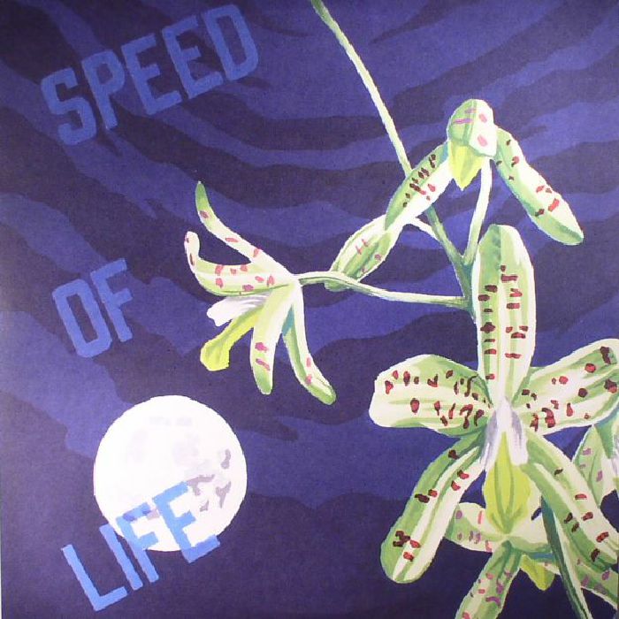 K15 - Speed Of Life