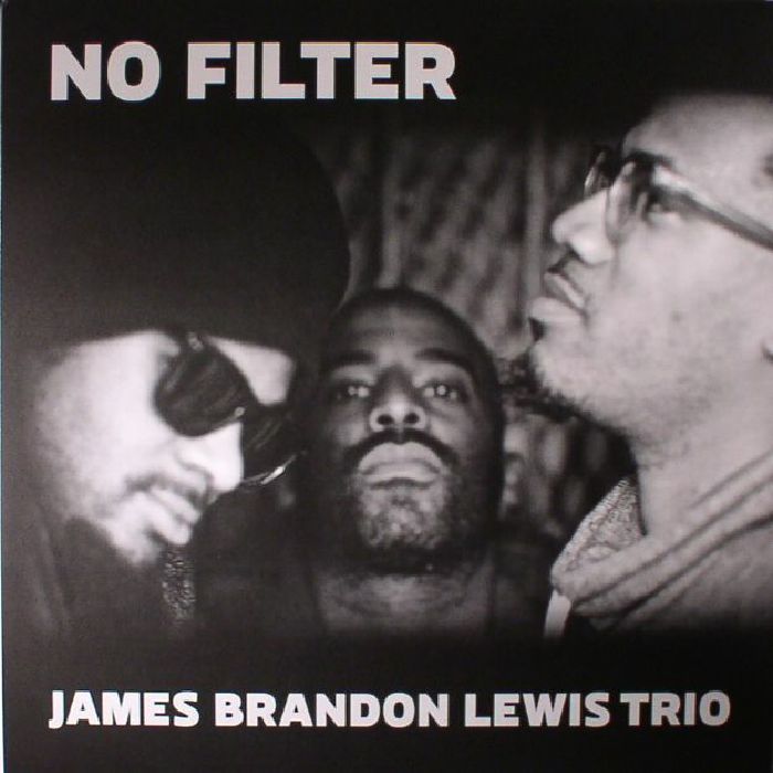 JAMES BRANDON LEWIS TRIO - No Filter