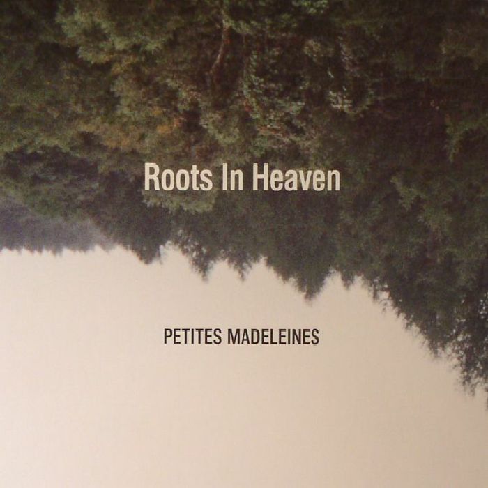 ROOTS IN HEAVEN - Petites Madeleines