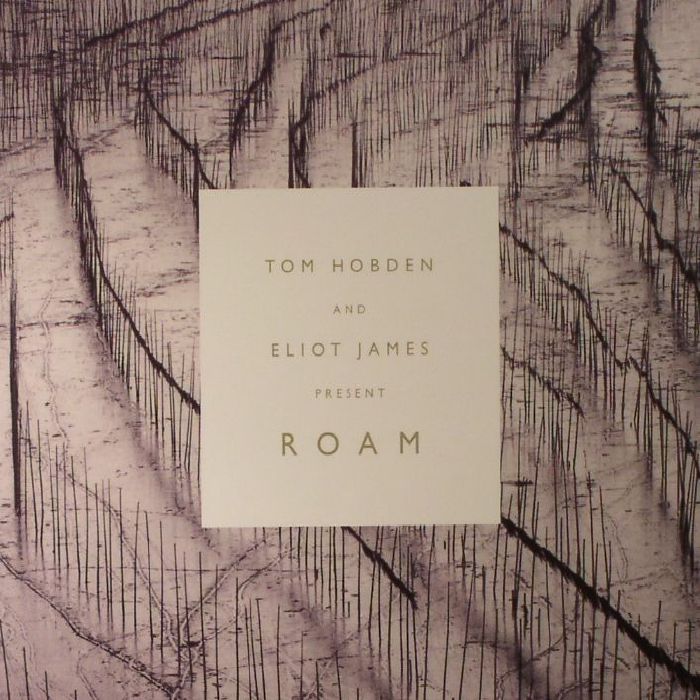 HOBDEN, Tom/ELIOT JAMES - Roam