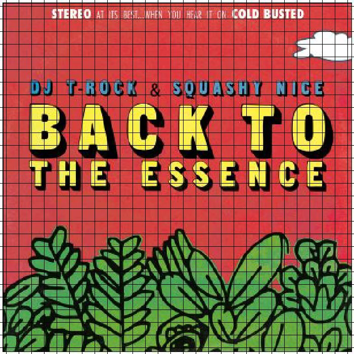 DJ T ROCK/SQUASHY NICE - Back To The Essence