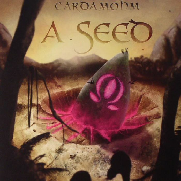CARDAMOHM - A Seed