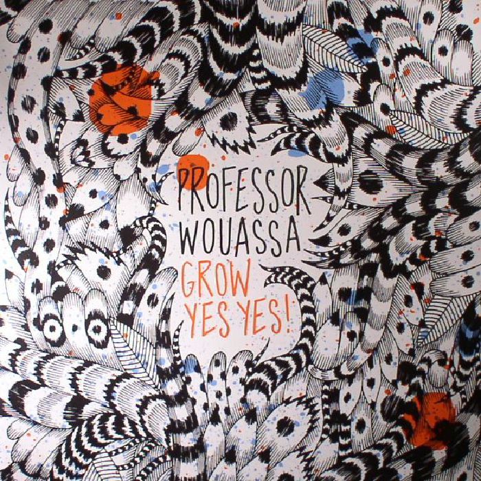 PROFESSOR WOUASSA - Grow Yes Yes!