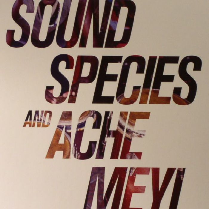 SOUNDSPECIES/ACHE MEYI - Soundspecies & Ache Meyi