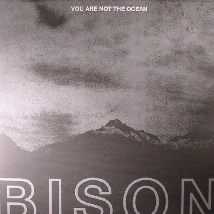 BISON - You Are Not The Ocean You Are The Patient