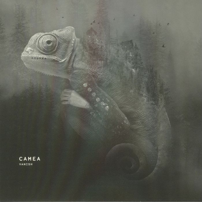 CAMEA - Vanish