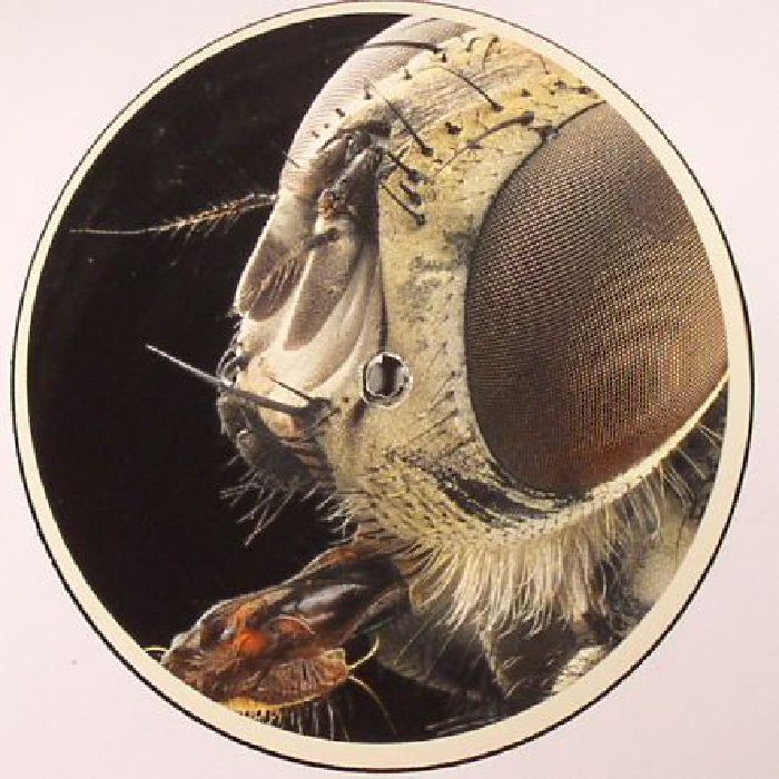ARCTOR - Monachopsis
