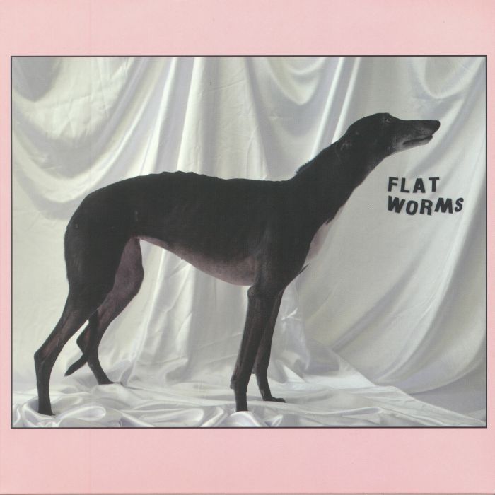 FLAT WORMS - Flat Worms