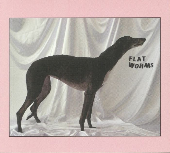 FLAT WORMS - Flat Worms