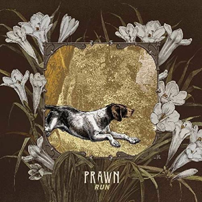 PRAWN - Run