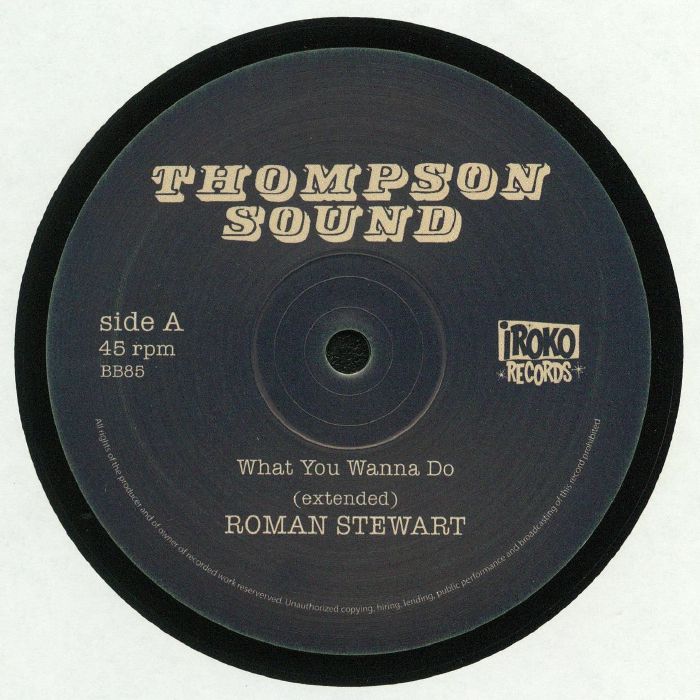 STEWART, Roman/LINVAL THOMPSON - What You Wanna Do