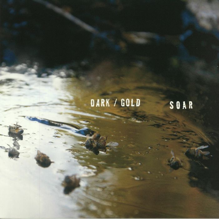 SOAR - Dark/Gold